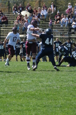 Enlarge photo 55