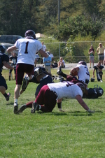 Enlarge photo 126