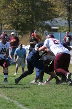 Enlarge photo 174