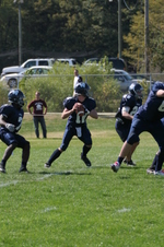Enlarge photo 209