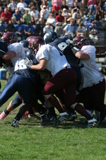 Enlarge photo 227