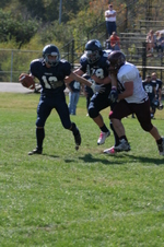 Enlarge photo 259