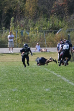 Enlarge photo 295