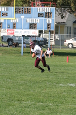 Enlarge photo 337