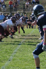 Enlarge photo 374