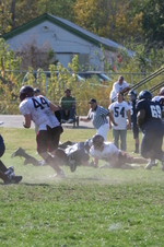 Enlarge photo 377
