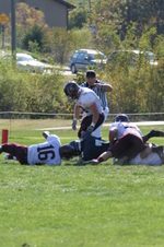 Enlarge photo 381