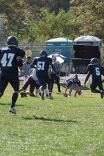 Enlarge photo 464