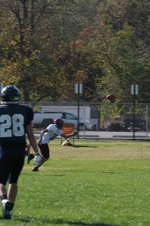 Enlarge photo 466