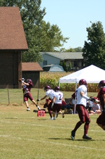 Enlarge photo 173