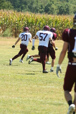 Enlarge photo 177