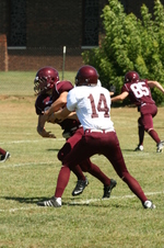 Enlarge photo 237