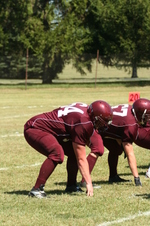 Enlarge photo 317