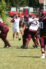 Enlarge photo 338