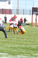 Enlarge photo 107