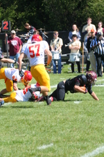 Enlarge photo 110