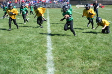 Enlarge photo 28
