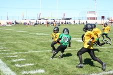 Enlarge photo 32