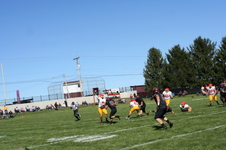 Enlarge photo 49