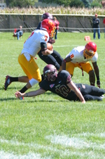 Enlarge photo 137