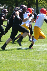 Enlarge photo 140