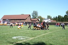 Enlarge photo 62