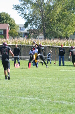 Enlarge photo 147