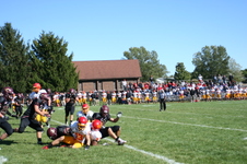 Enlarge photo 75