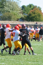 Enlarge photo 168