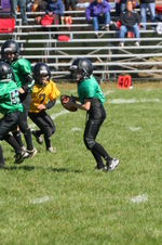 Enlarge photo 205
