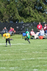 Enlarge photo 209