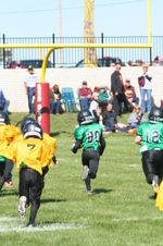Enlarge photo 215