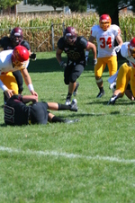 Enlarge photo 242