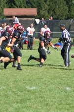 Enlarge photo 259