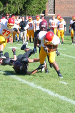 Enlarge photo 289