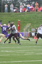 Enlarge photo 49