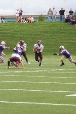 Enlarge photo 175