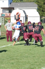 Enlarge photo 56