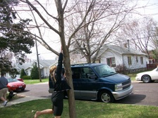 Enlarge photo 154