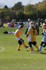 Enlarge photo 39
