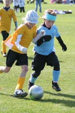 Enlarge photo 40