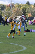 Enlarge photo 41