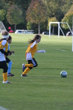 Enlarge photo 44