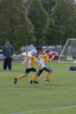 Enlarge photo 46