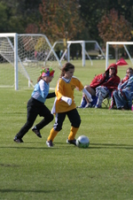 Enlarge photo 50