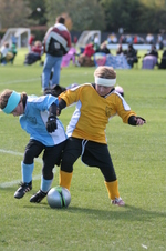 Enlarge photo 52