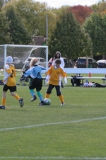 Enlarge photo 54