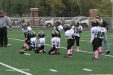 Enlarge photo 258