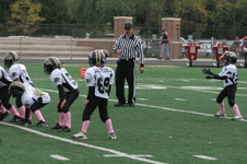 Enlarge photo 262