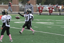 Enlarge photo 264